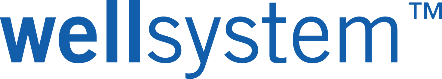 WELLSYSTEM logo