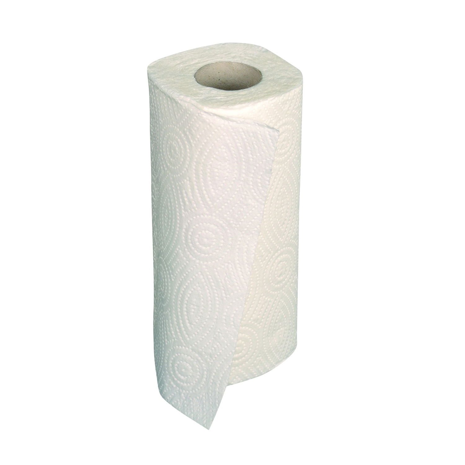 Essuie-tout papier gaufré 2 couches - rouleau - blanc (32 pcs)