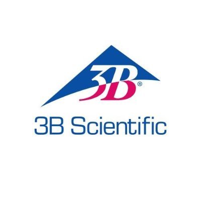 3B