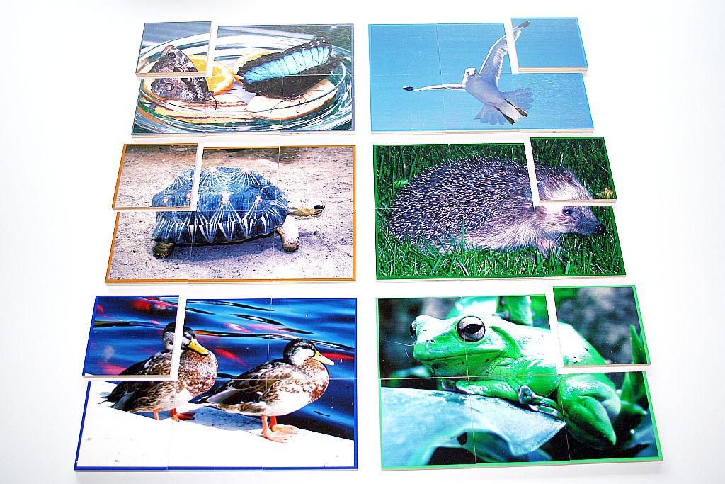 Houten puzzeldoos - dieren - 6 stukken