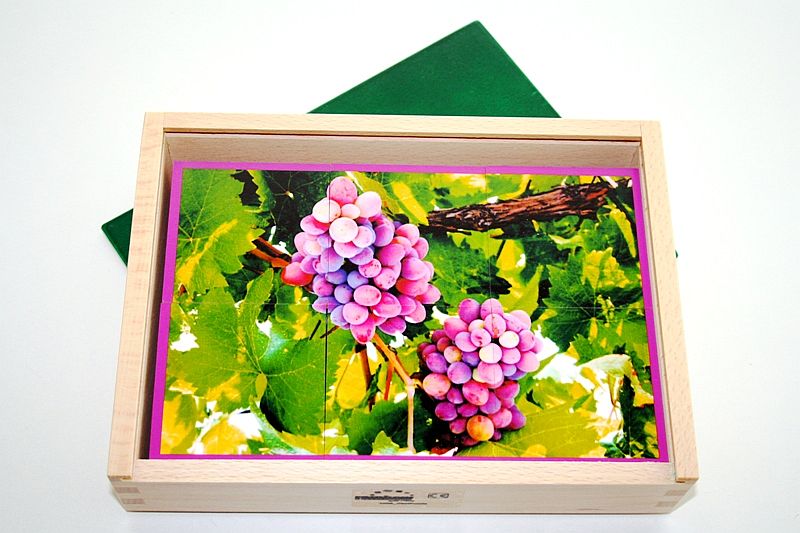 Houten puzzeldoos - fruit - 6 stukken