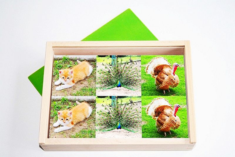 Memory - dieren