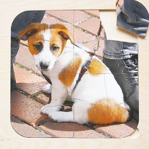 Houten inlegpuzzel - puppy - 16 stukken