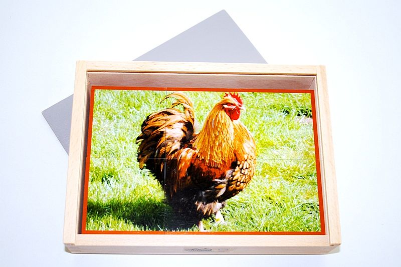 Houten puzzeldoos - boerderijdieren - 6 stukken