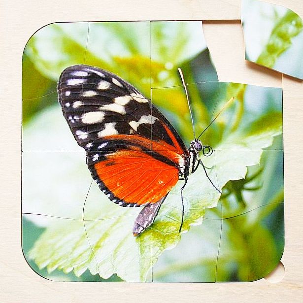 Houten inlegpuzzel - vlinder - 16 stukken
